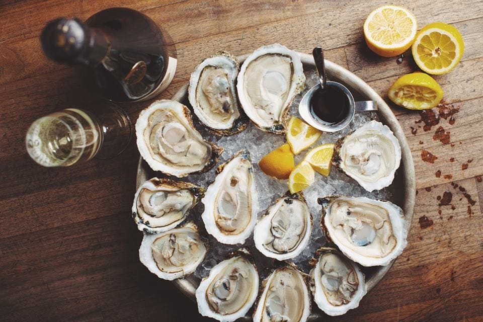 Oysters