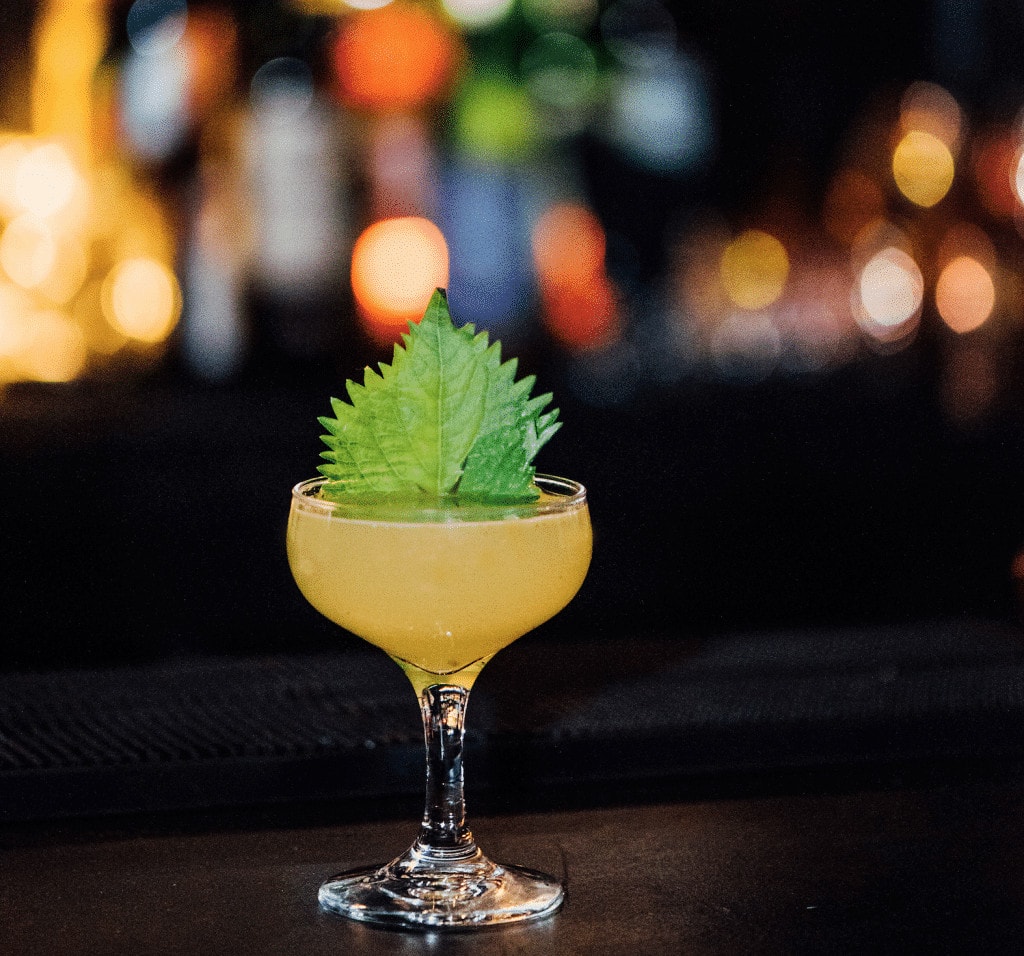 The Best Cocktails in Montreal: Where to go - Tastet