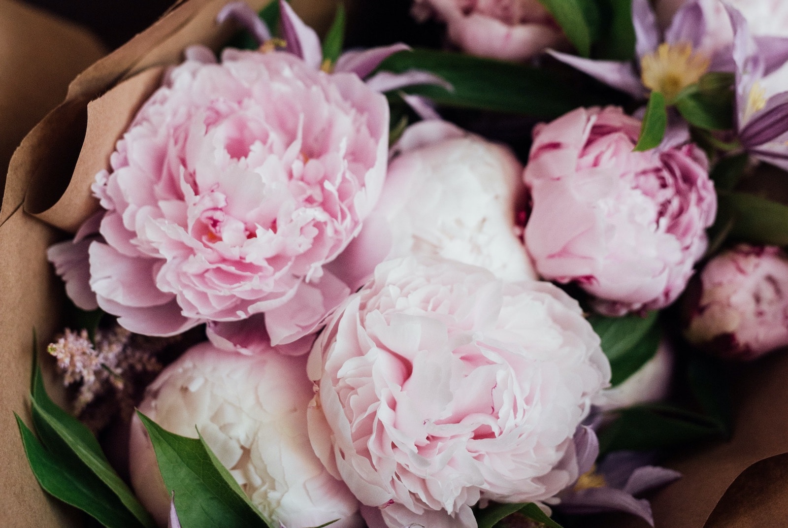 Espiègle, bouquet de roses, Fleuriste livraison