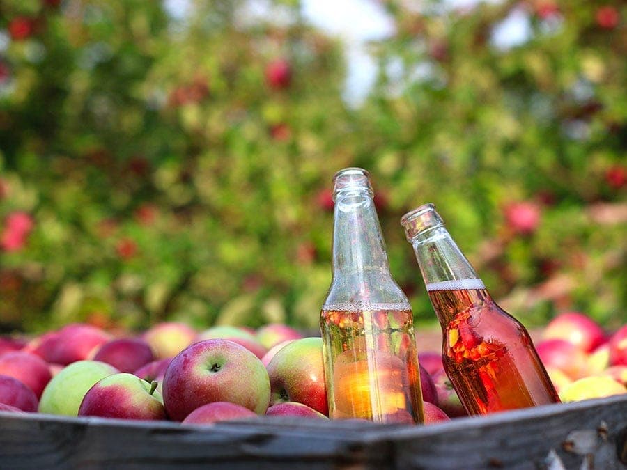 cidre pommes verger