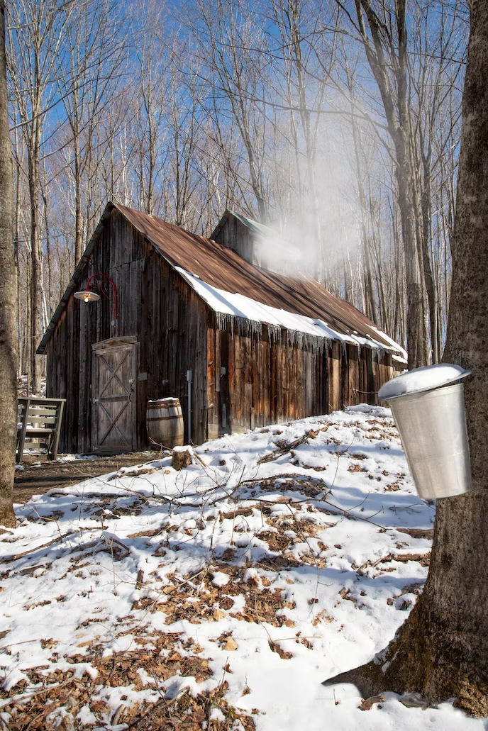 The Best Sugar Shacks: Our suggested addresses