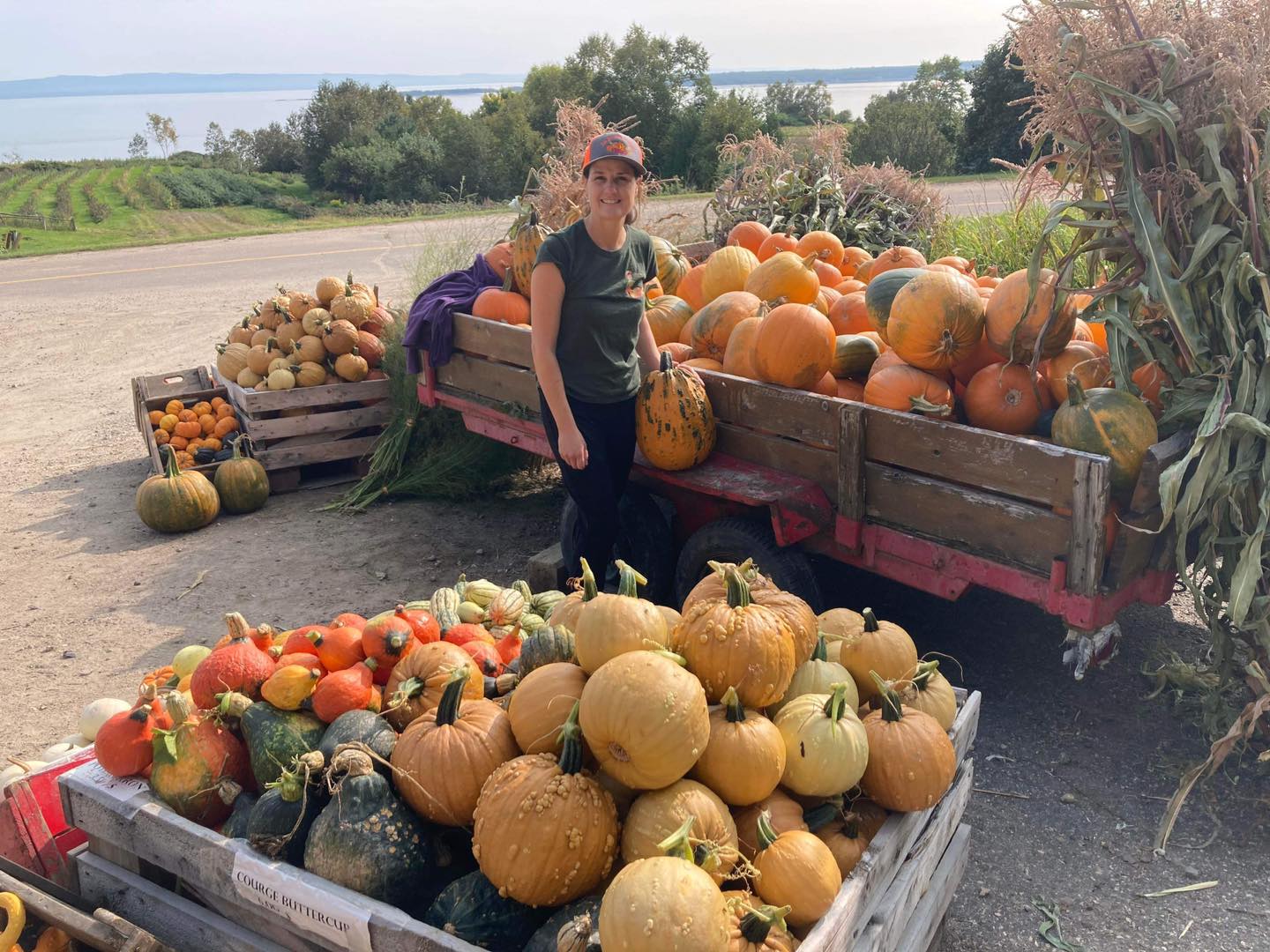 Stéphanie Pilote en pleine saison des courges aux Jardins du Centre (photo: Les Jardins du Centre)