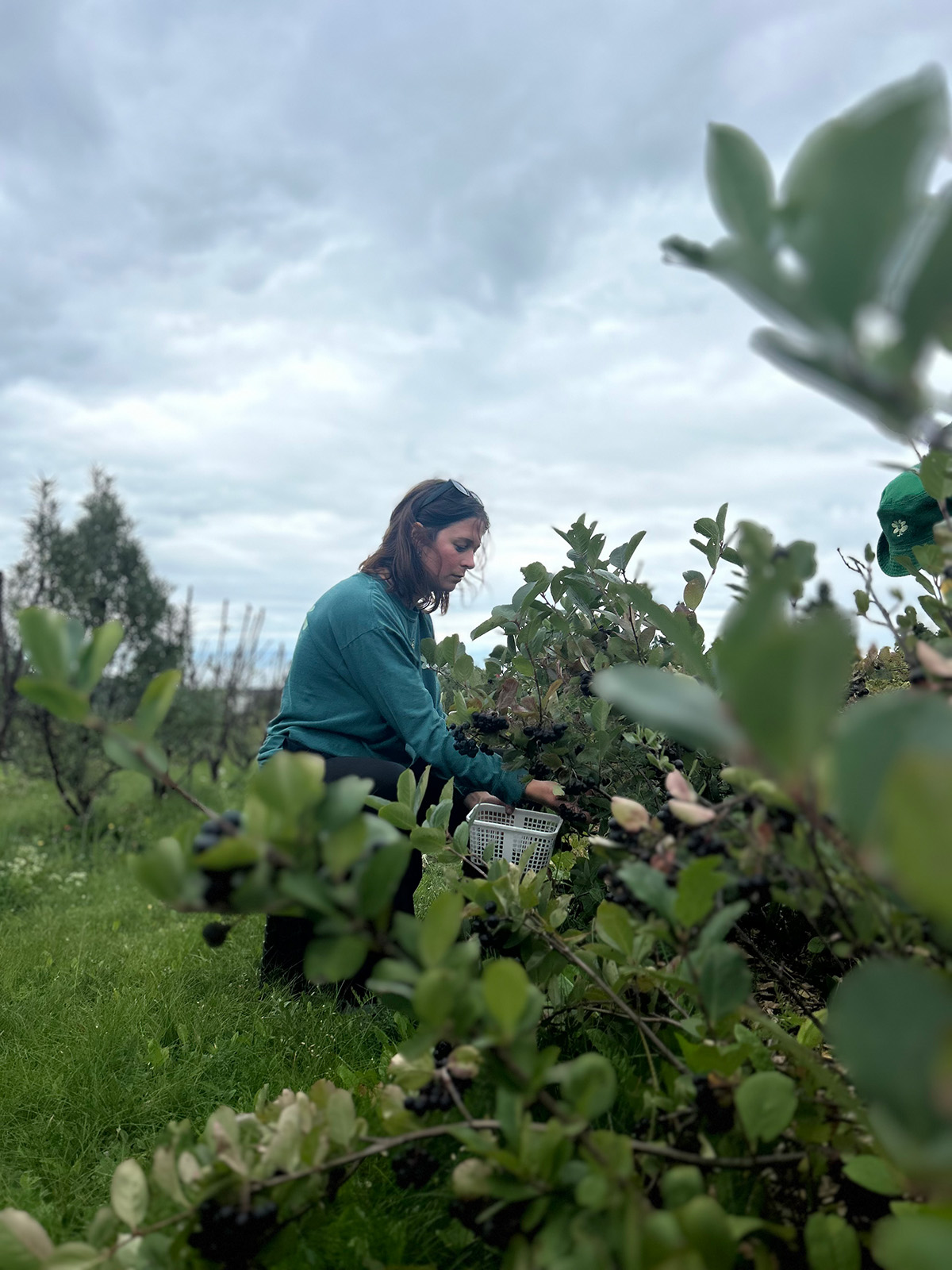 Marie-Odile Belhomme-Hébert est responsable des fruits et des fleurs chez Lupin Fruit (photo: Lupin Fruit)