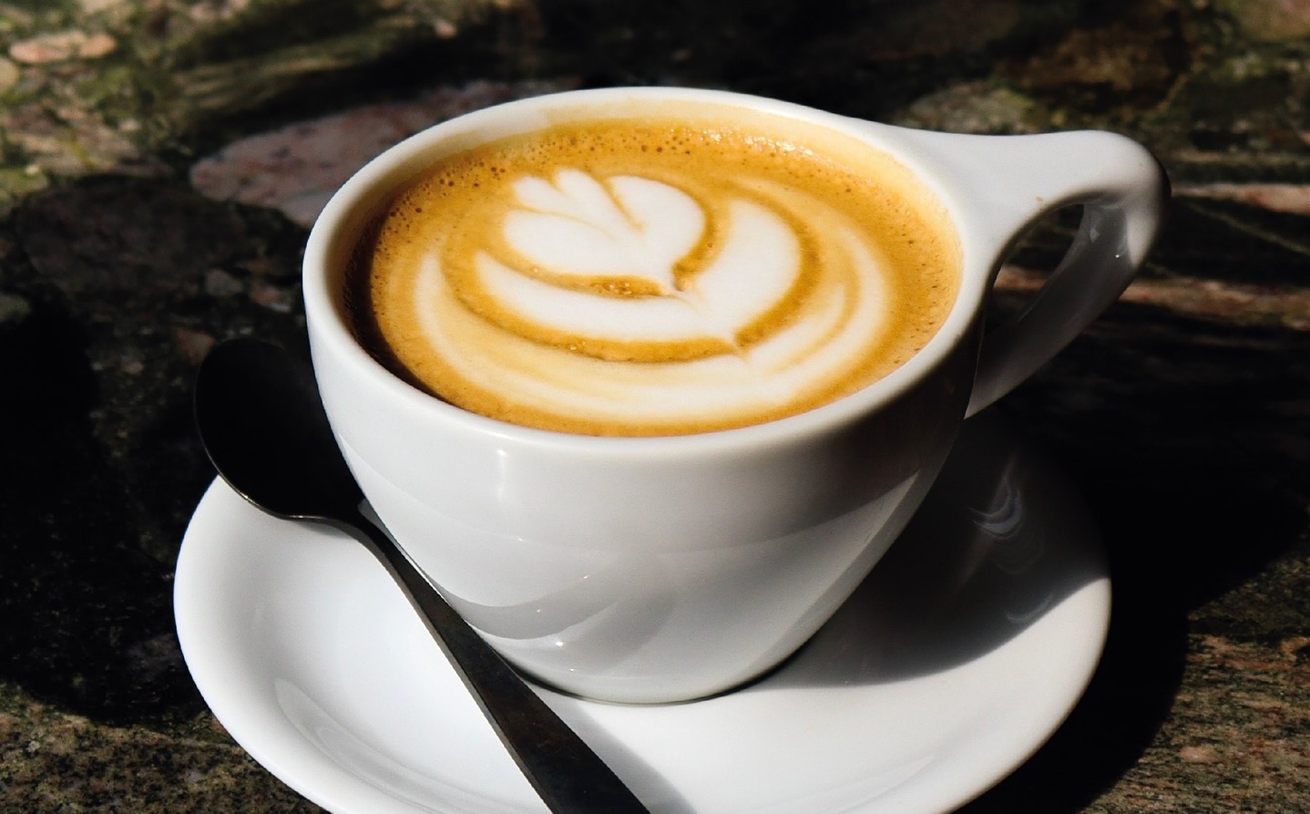 5 of the best pumpkin spice lattes in Montreal