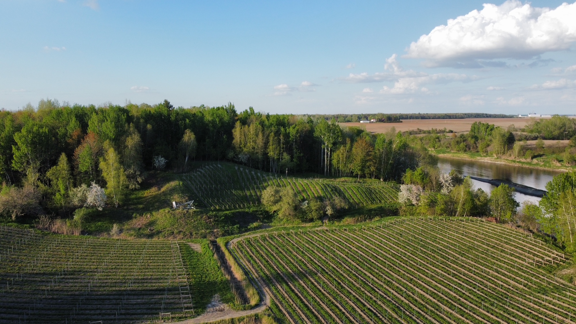 Saucette Caviste hits the road with Quebec wine-growers for a summer of tastings and vineyard trips