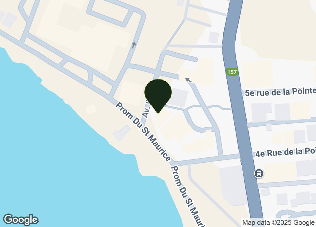 Map showing location at 46.5401725, -72.7534408