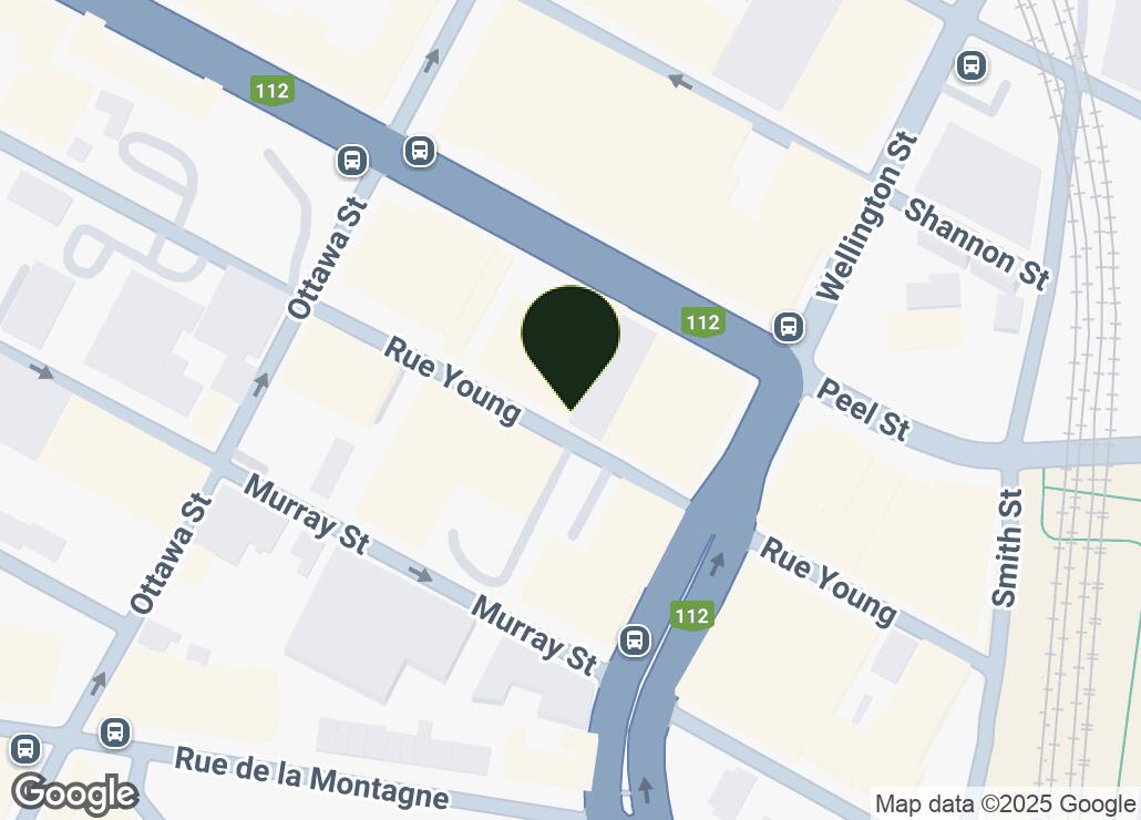 Map showing location at 45.493161, -73.5585027