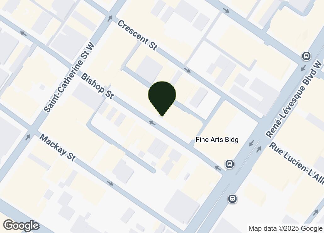 Map showing location at 45.4960036, -73.5748529