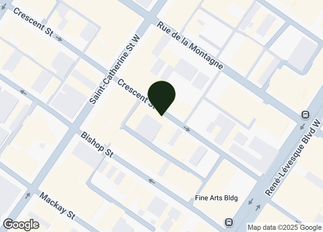 Map showing location at 45.4967076, -73.5748519