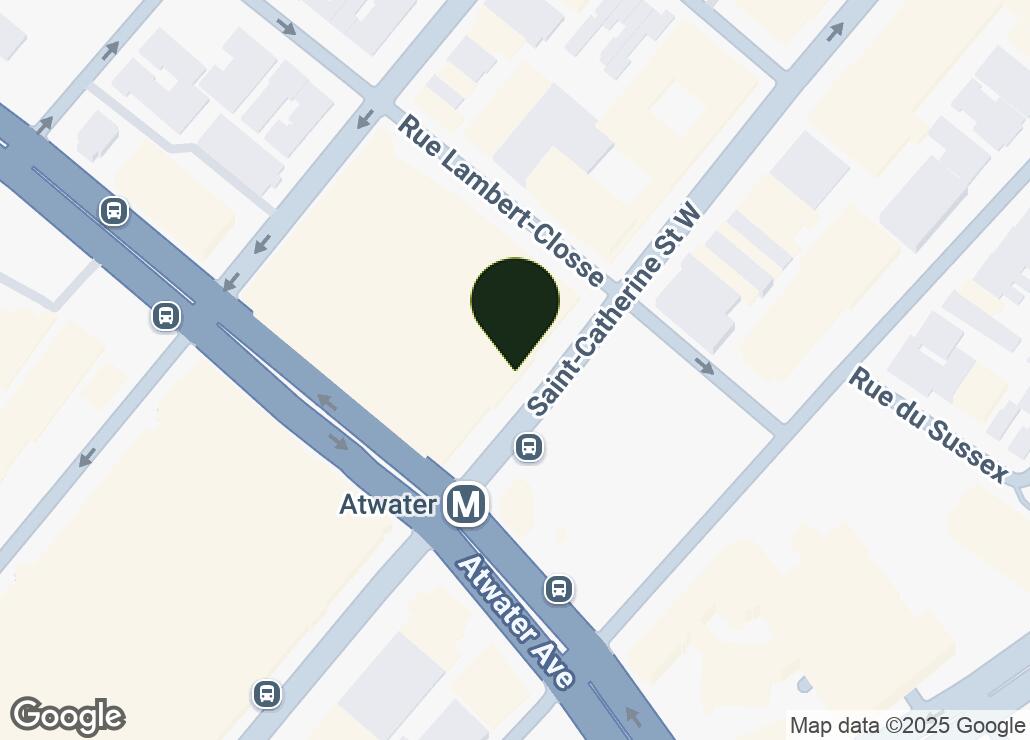 Map showing location at 45.489873, -73.5841369