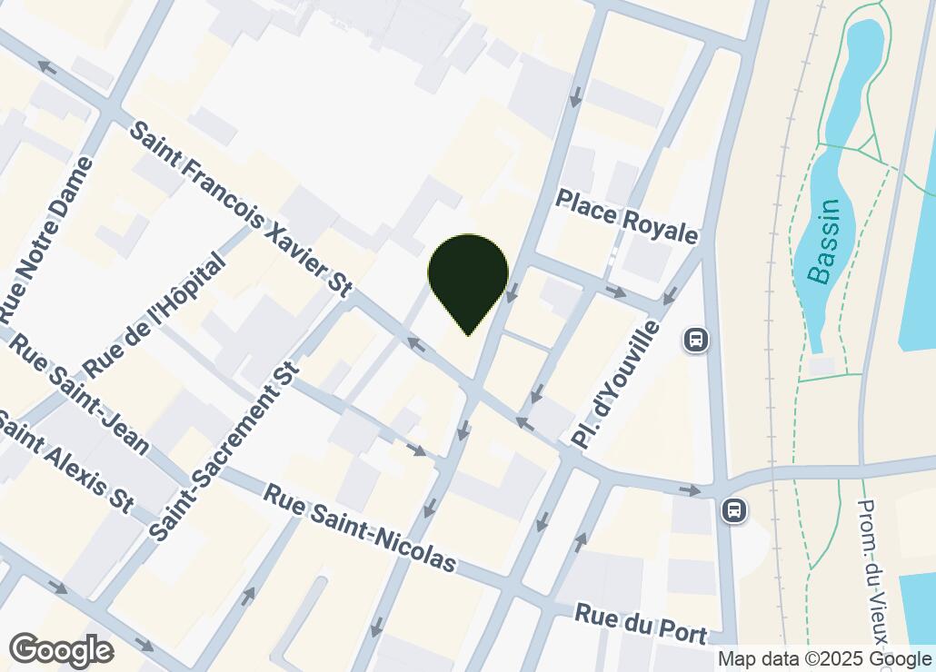 Map showing location at 45.5029635, -73.5553102