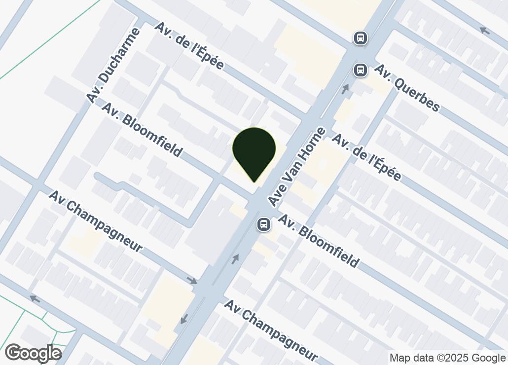Map showing location at 45.5228071, -73.6131