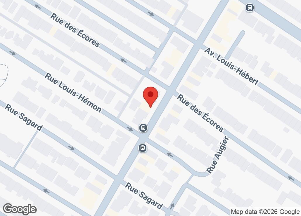 Map showing location at 45.5506569, -73.5999411