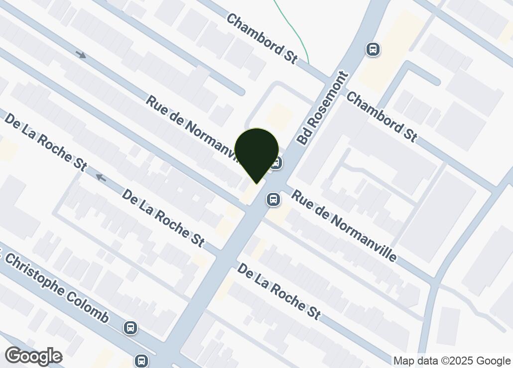 Map showing location at 45.5362203, -73.5939639