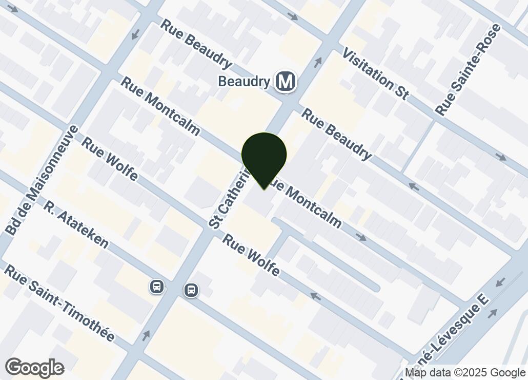 Map showing location at 45.5181799, -73.5561349