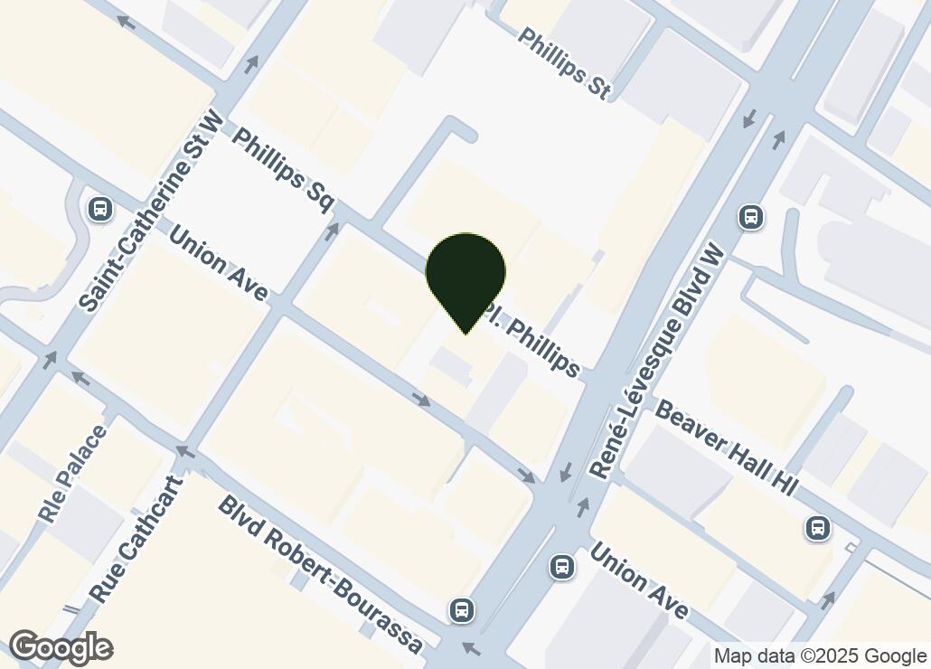 Map showing location at 45.5032786, -73.567343