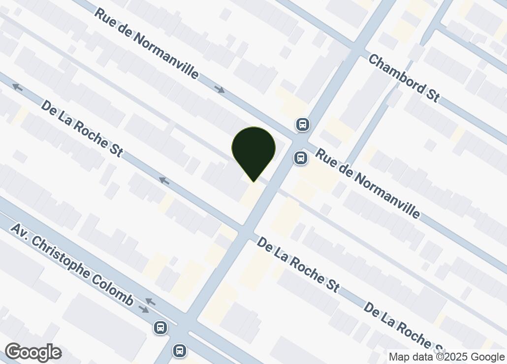 Map showing location at 45.5420191, -73.6076934