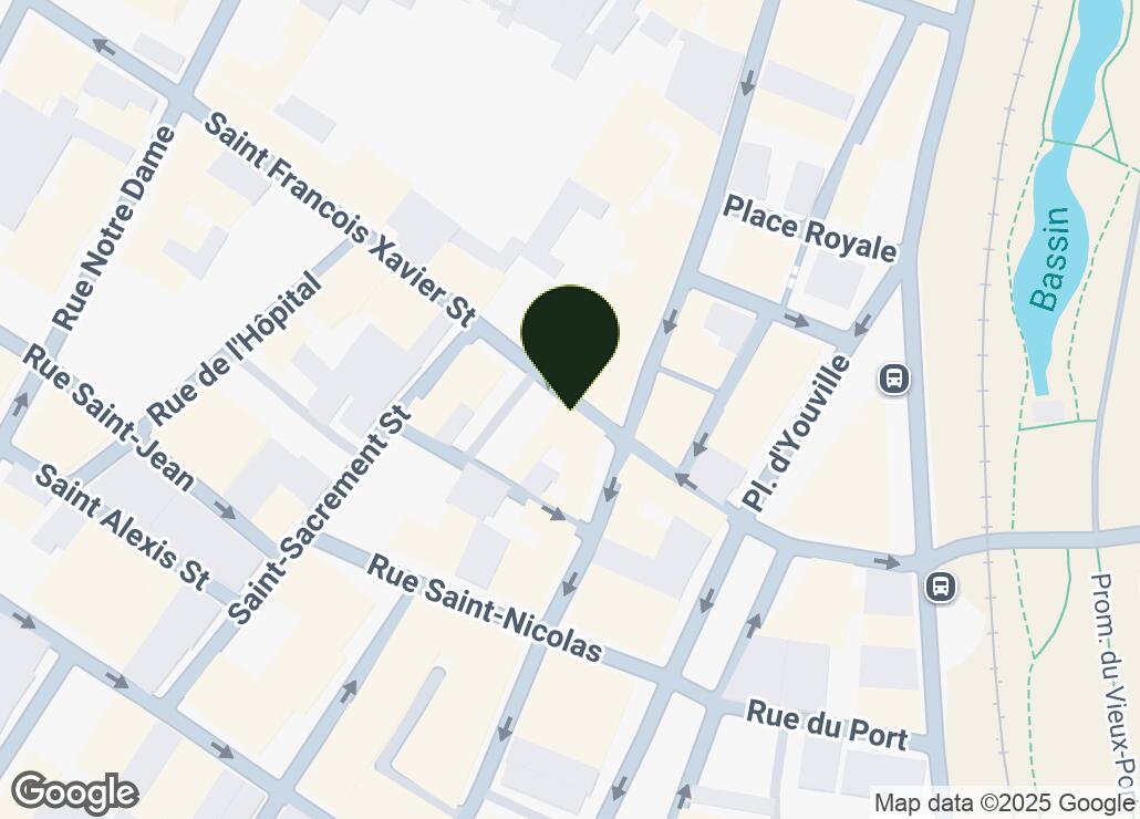 Map showing location at 45.5028415, -73.5555399