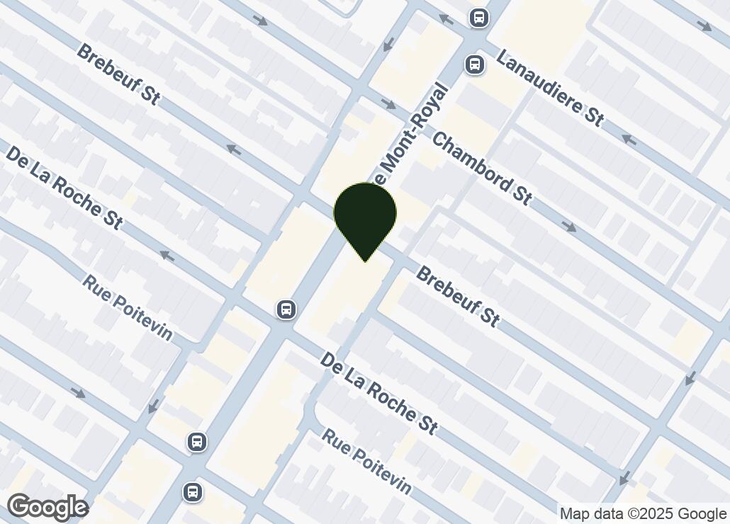 Map showing location at 45.5290871, -73.5779231