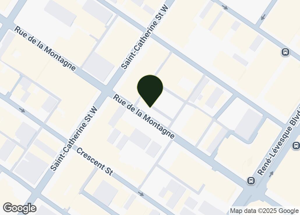 Map showing location at 45.4976678, -73.5742478