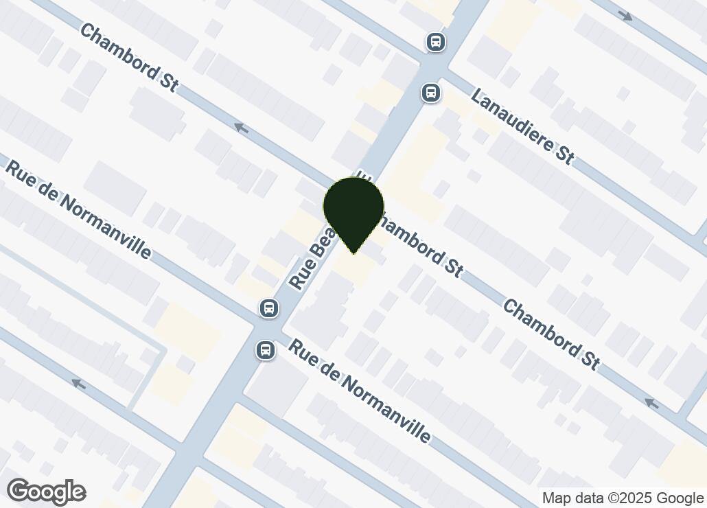 Map showing location at 45.5396719, -73.5995539