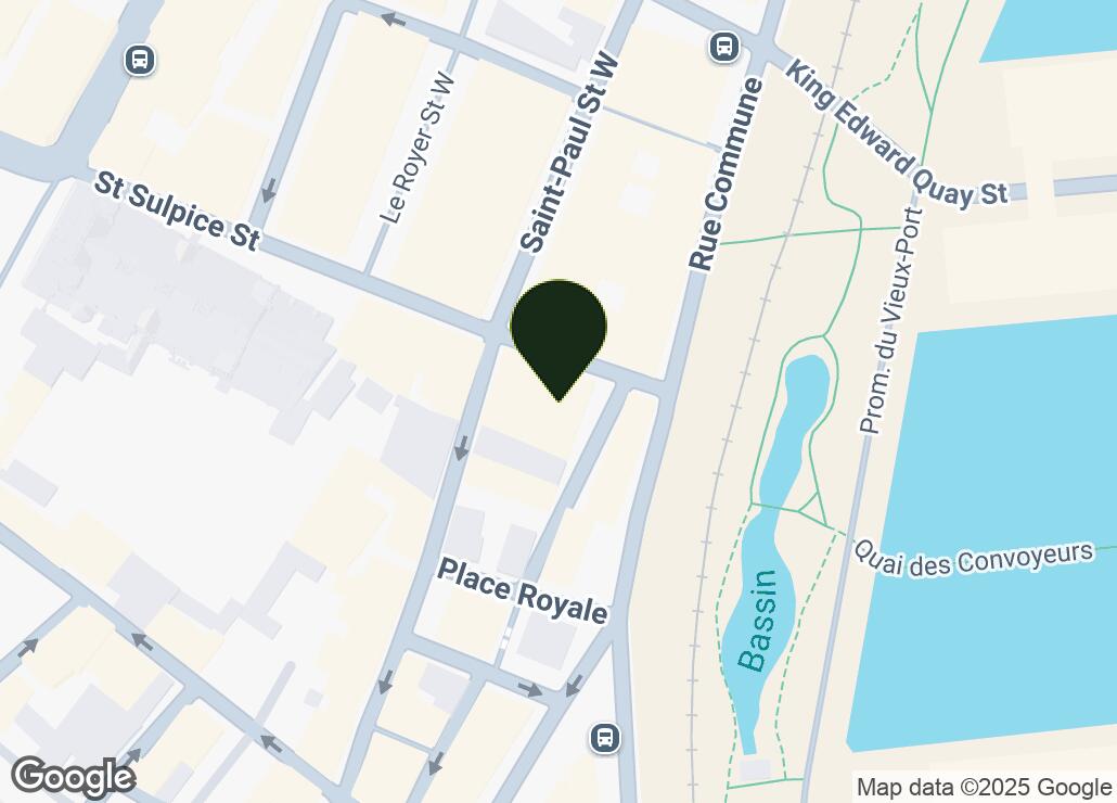 Map showing location at 45.5041136, -73.5542002