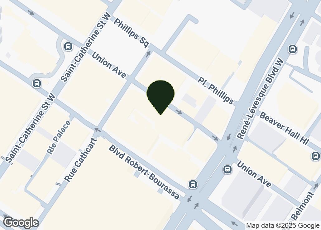 Map showing location at 45.5029736, -73.5679202
