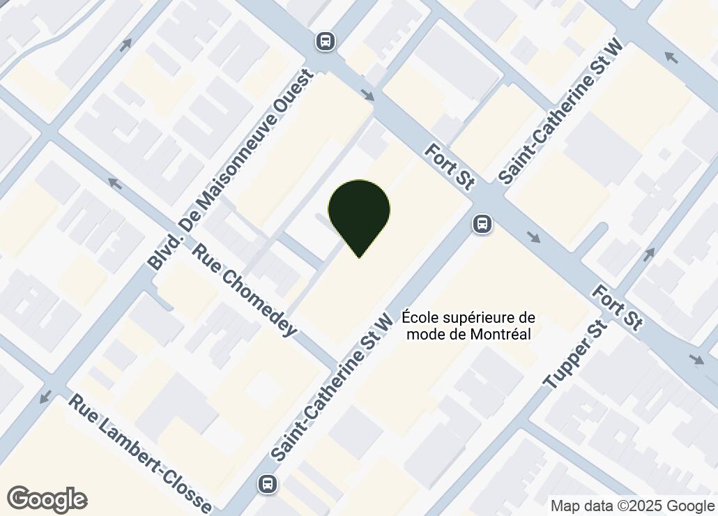 Map showing location at 45.491565, -73.5825278