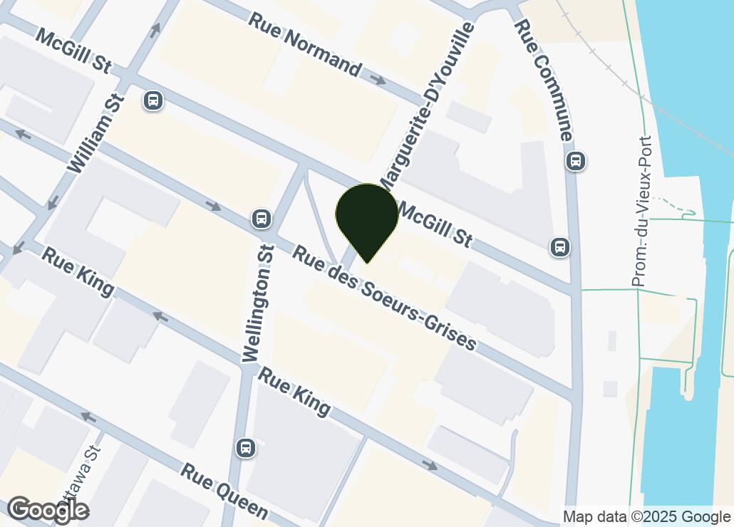 Map showing location at 45.4988613, -73.5544019