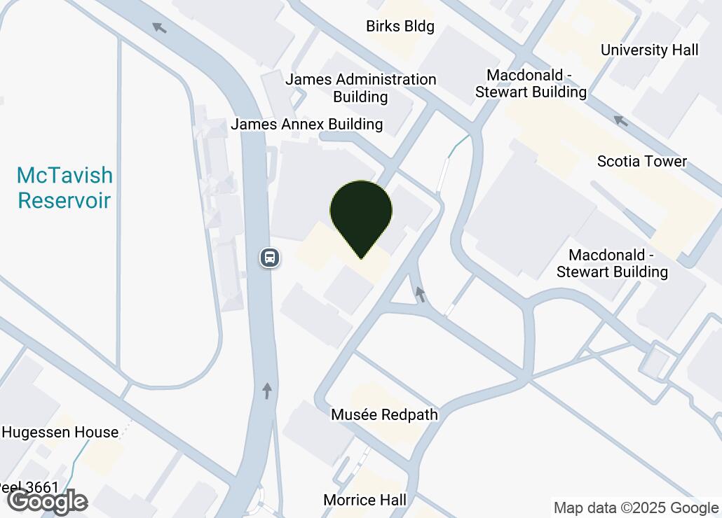 Map showing location at 45.5053109, -73.5776906