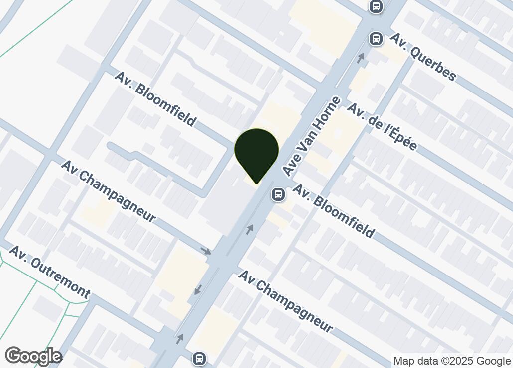 Map showing location at 45.5225682, -73.6132254